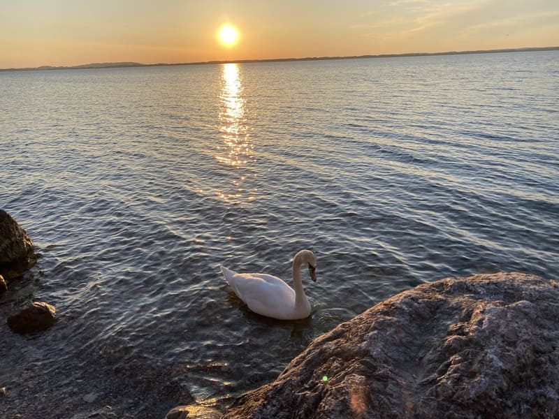 olivengarten-galerie-03