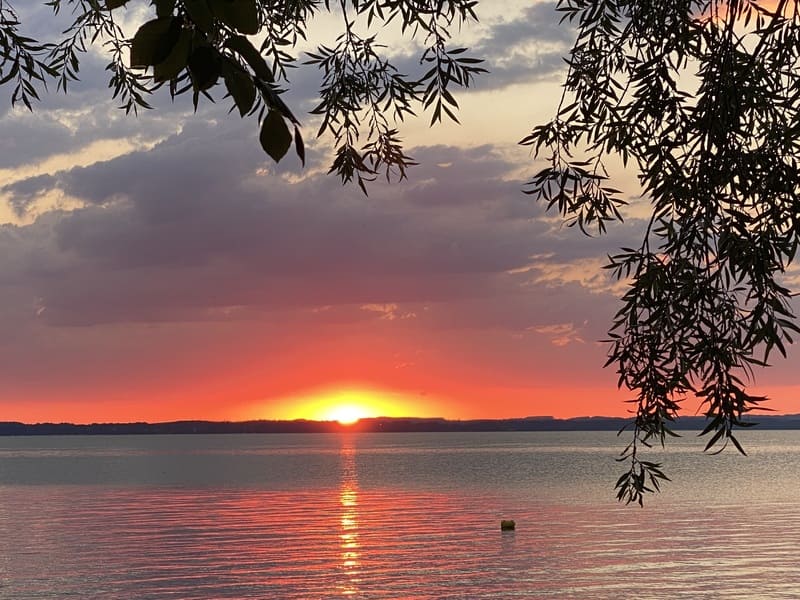 olivengarten-galerie-06